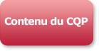 Contenu_du_CQP_et_Examens